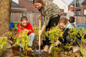 De Wildschut kan nu eieren verstoppen  De PvdA verwelkomt vergroening schoolplein